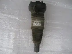 Ammortizzatori anteriori Porsche Macan 95B616039G