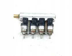 Carril de inyección GLP OEM 67R-010086 - Usado