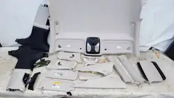 Plafonnier BMW 7 G11 OEM 7395190 - État Utilisé