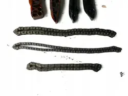 Käytetty BMW jakoketju OEM 4566c4y6dfrgt67 5-sarjaan