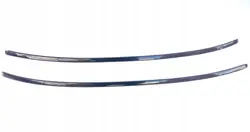 Molduras de Teto BMW E90 Sedan OEM 7124253