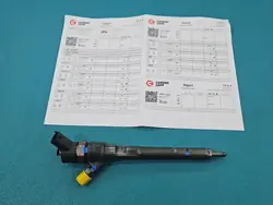 Injector Hyundai Tucson Testado OEM 0445110258 2.0 CRDI