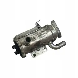Enfriador EGR RENAULT LAGUNA III 2.0L diésel 8200505409