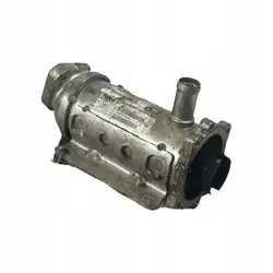Enfriador EGR RENAULT LAGUNA III 2.0L diésel 8200505409