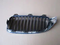 BMW OE 51137294814 copertura griglia