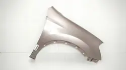 Para-lama dianteiro direito OEM 360175887 Nissan Qashqai