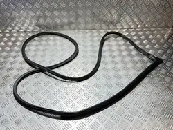Junta Porta Dianteira Esquerda OEM DG27011 Honda Jazz V