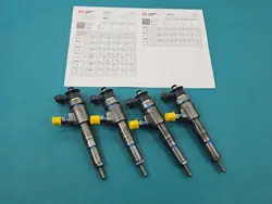 Testattu Suutin OEM 0445110135 Citroen C2:lle