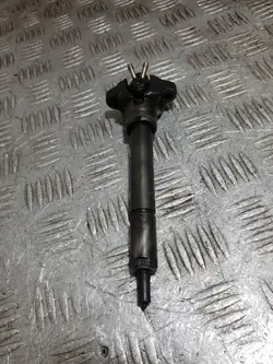 Injector BMW E46 OEM 0432191528 - Usado