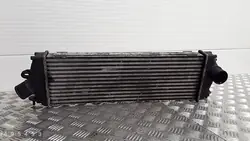 Radiador Renault Trafic 2010 8200411160c