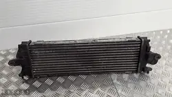 2010 Renault Trafic Radiator 8200411160c