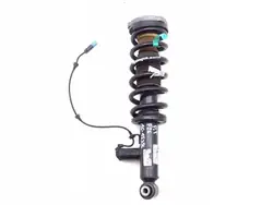 Amortecedor Traseiro Direito OEM 4096733 BMW X4