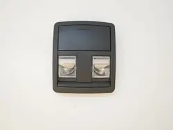 OEM 1109204DX9/1109204 Plafonnier Dodge