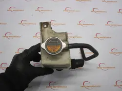Depósito expansão Mercedes CLS C219 07r OEM RTX144192