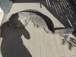 Passaruota Posteriore Sinistro Peugeot 301 Citroen C-Elysee