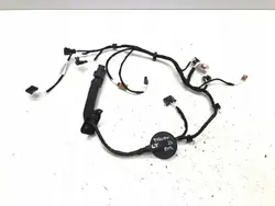 Harness Porta Traseira Esquerda OEM 571971693AA