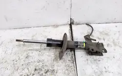 Ammortizzatore anteriore lato destro Nissan Qashqai 54302