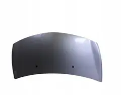 Capó Renault Clio III OEM TED69 - Usado
