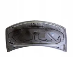 Capot Renault Clio III OEM TED69 - Occasion