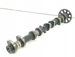 Arbre à cames Toyota pour RAV4 2003 XA20 - OE