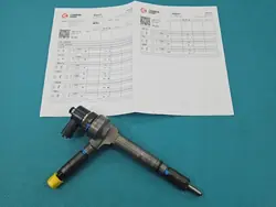 Einspritzdüse OEM 0445110175 für Opel Astra III H 1.7 CDTI