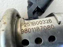 AdBlue-injector OEM 9801187080 voor Citroen/Peugeot