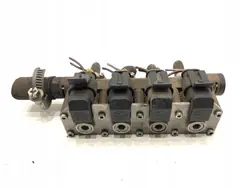 OEM 67R-017064 LPG Gaseinspritzventil - Gebraucht