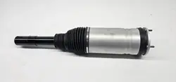 Amortisseur pneumatique avant droit OEM DPLA3C285CG