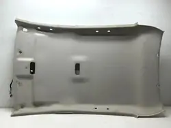 OEM 264300007R Luz Interior - Techo Trasero