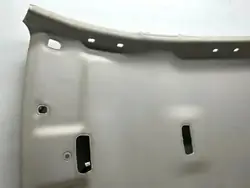 OEM 264300007R Plafonnier Arrière - Intérieur