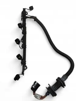 Rames d'injection BMW X5 E70 7808247 2010