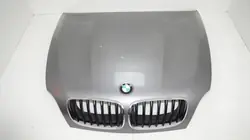 BMW X5 E70 Motorlock OEM 360199303