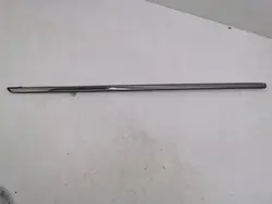 Chrysler Voyager 2008 Seitenfensterleiste OEM AMD126491
