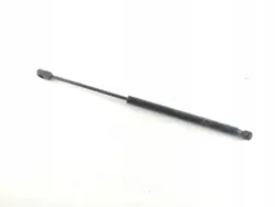 Actionneur de capot Ford Mustang Mach-E OEM LJ8BR16C827AB