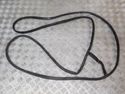 Vänster Bakdörrs Tätning OEM kxjnfksdjfg abc Toyota Sienna