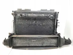 2007 Chrysler 300 - 300C Komplettkylare 04598001AH