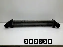 2007 Mercedes B Klasse Radiator 2000dci a1695000000