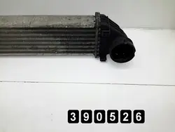 2007 Mercedes B Klasse Radiator 2000dci a1695000000