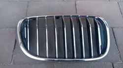 Rechter grille OEM 7357012 voor BMW 7 Serie G11 G12