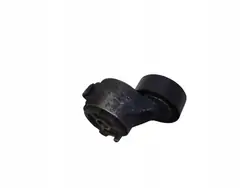 Keilriemenspanner für Lichtmaschine OEM JUT193689 Citroen