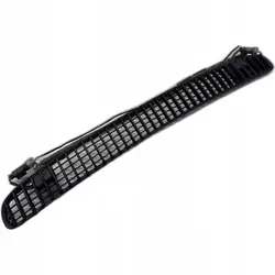 BMW E46 Kühlergrillleiste OEM 8208484 8374365