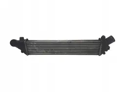 RENAULT KANGOO 03-08 1.5 DCI Intercooler 8200732390C