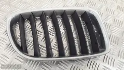 Griglia BMW X1 E84 2011 51112993308