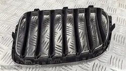 BMW X1 E84 Kühlergrill 2011 51112993308