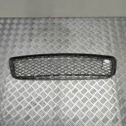 Griglia Centrale Paraurti BMW X5 (E70) 51117163956