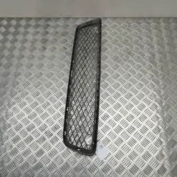 BMW X5 (E70) Mittlere Stoßstangenblende 51117163956