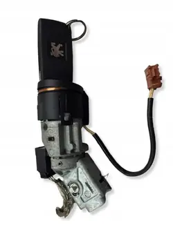 OEM 8202090N Zündschloss Vorne Peugeot 407