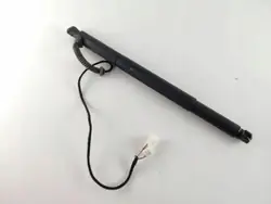 Actionneur de hayon droit OEM 7188490 pour BMW X6