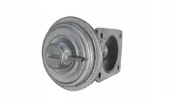 Válvula EGR BMW 72813800