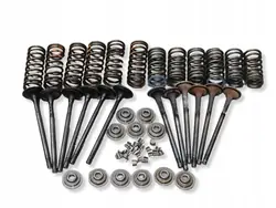 Venttiilisarja OEM H4DF480 - Dacia